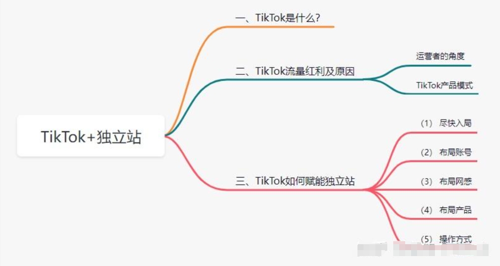TikTok赋能独立站最有效做法